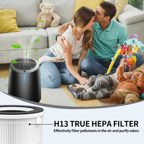 KQ-29 True HEPA Air Filter Replacement for FRIWOLE Small Air Purifiers, 2-Pack