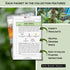 Sow Right Seeds - Extra Large Medicinal Herb Seed Collection for Planting - Lemon Balm, Lavender, Yarrow, Echinacea