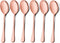 LIANYU Copper Serving Spoons Set of 6, 9.8 Inch Stainless Steel Large Dinner Buffet Spoons, Dishwasher Safe
