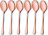 LIANYU Copper Serving Spoons Set of 6, 9.8 Inch Stainless Steel Large Dinner Buffet Spoons, Dishwasher Safe