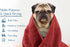 DAN RIVER Dog Towels for Drying Dogs, Large 100% Cotton Puppy Bath Towel, Ultra Soft 450 GSM, 20x40 inches