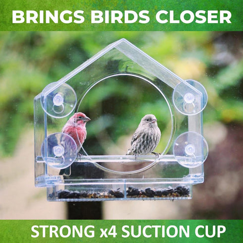 Window Bird Feeders with Strong Suction Cups - Clear Window Bird Feeders for Outside - Wild Bird Watching, Easy to Clean, Outdoor Birdhouse - Perfect for Garden,Yard,Elderly Viewing