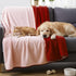 40''x60'' Tisancy Waterproof Blanket for Bed Couch Sofa, Reversible & Washable, Fleece and Flannel Waterproof Mat