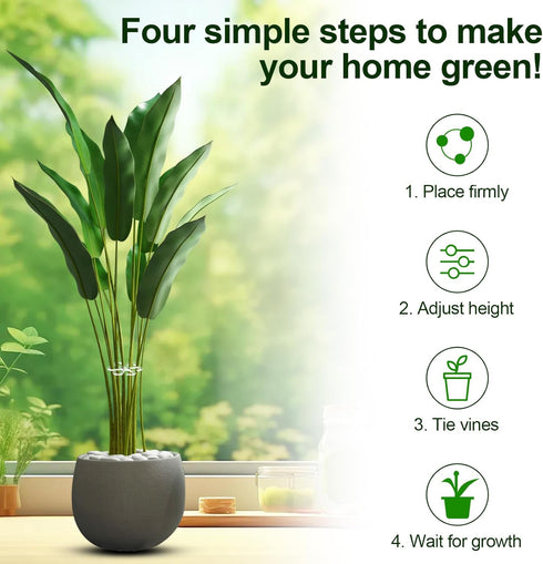 BOXOB 4pcs (4 Plant Stem Support, Plant Stem Holder with Holes Acrylic Plant Trellis Stakes Monstera Plant Stabilizer