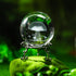 3D 60mm HDCRYSTALGIFTS Mushroom Crystal Ball Laser Engraved Decorative Ball Glass Sphere with Stand Paperweight