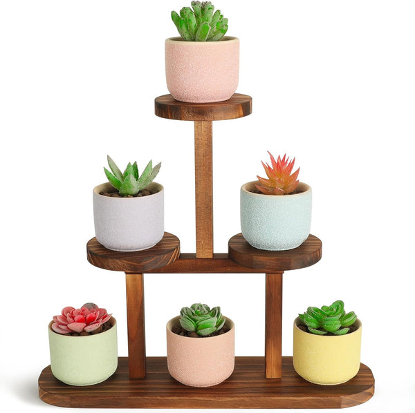 3 Tier Wood Table Top Plant Stand,Small Windowsill Plant Shelf Desk Succulent
