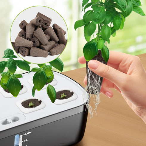 TISOHUGO 50 Pack 50pcs 10 Square Seed Starter Pods for Indoor Hydroponics Growing System, Squared Grow Sponges