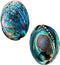 Polished Abalone Shell, 4.5" to 5.5", in Gift Box for Smudging, Cleansing, Meditation, Home Décor - 100% Natural Shell