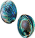 Polished Abalone Shell, 4.5" to 5.5", in Gift Box for Smudging, Cleansing, Meditation, Home Décor - 100% Natural Shell