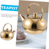 1pc Stainless Steel Pot, Cast Iron Teapot Kettle with Strainer, Large Capacity Stove Top Kettle for Kung Fu Tea