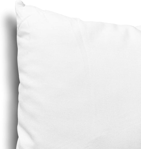 EDOW Throw Pillow Insert, Lightweight Soft Polyester Down Alternative, Decorative Pillow, 18x18, Machine Washable