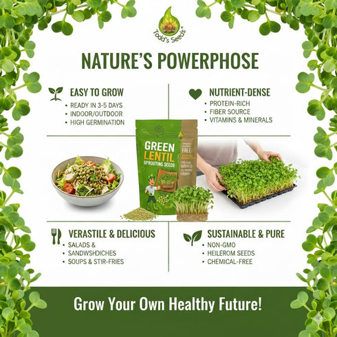 Heirloom Green Lentil Seeds - Non-GMO, Chemical-Free (Quarter Pound)