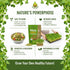 Heirloom Non-GMO Green Lentil Seeds - One Pound for Sprouting