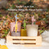 Reusable Silicone Straws Safe for Kids, 4pcs Flexible 7.8 Inches with 1 Cleaning Brush for Tumblers