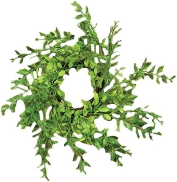 CWI Gifts Plastic Wreath Rings, 9 inch, Spring Green Wreath Decor