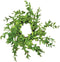 CWI Gifts Plastic Wreath Rings, 9 inch, Spring Green Wreath Decor