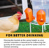 LEWINHOOK (5 Pack), 2.9 Chicken Waterer Cups Automatic Large Poultry Waterer Cups with Anti-Dirt Cover, Suitable