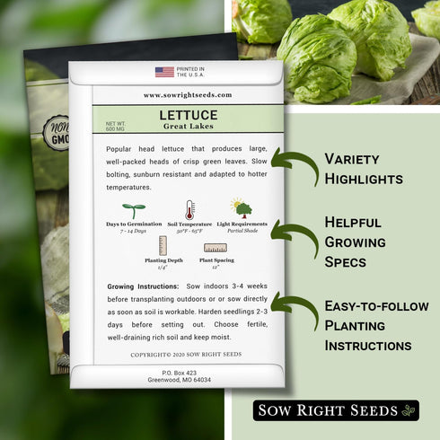 Packet (1) Sow Right Seeds - Great Lakes Iceberg Lettuce Seeds for Planting - Non-GMO Heirloom with Instructions