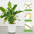 CANIPHA 4 Pcs Small Metal Trellis for Potted Plants,Gold Trellis for Climbing Plants Indoor,Small Trellis for Potted