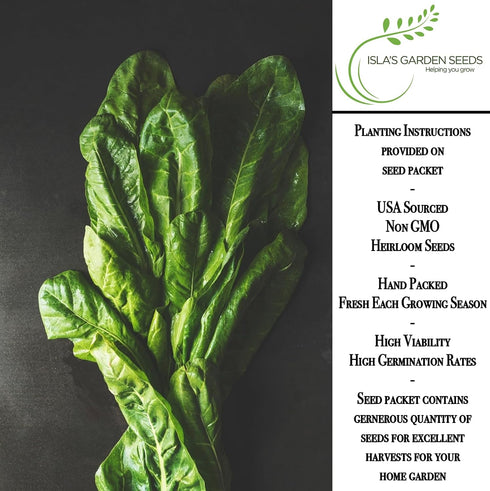 300+ Packet, Perpetual Spinach Seeds for Planting, Heirloom Seeds Per (Isla's Garden Seeds), Non GMO Seeds, Botanical