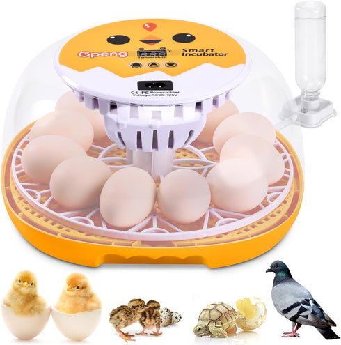 Gpeng Egg Incubator, 12 Eggs Incubator with Auto Egg-Turning, Auto Temperature Control,