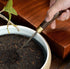 Puer Tea Knife - Vintage Stainless Steel Tea Pick with Wooden Handle & Teapot Brush for Breaking Puerh Cakes (Dark