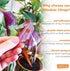 Spring Autumn Window Clings Fall Decor: 102 Double-Sided Reusable Thanksgiving Decorations for Home Office Nursery