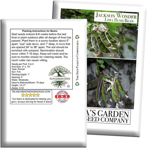 50+ Jackson Wonder Lima Bush Bean Seeds (Phaseolus lunatus) Heirloom Non-GMO Seeds by Islas Garden Seeds, Compact Bush
