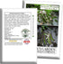 50+ Jackson Wonder Lima Bush Bean Seeds (Phaseolus lunatus) Heirloom Non-GMO Seeds by Islas Garden Seeds, Compact Bush