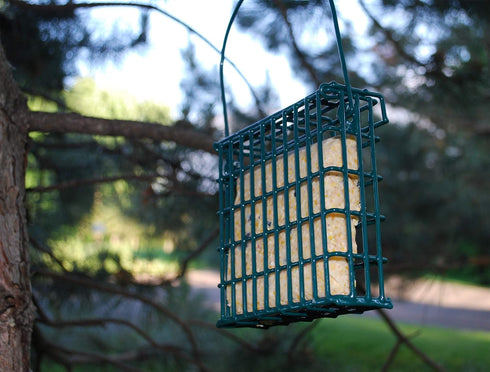 Wildlife Sciences Suet Feeder Cage - Suet Cake Combo for Wild Birds, Includes 1 Feeder and 11 oz Nuts & Berry Cake
