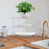 yaenoei 3-Tier Countertop (2, Kitchen Details Corner Shelf Organizer | Cabinet & Storage | Plates | Cups | Bowls White)