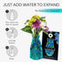 MODGY Expandable Flower Vase, Plastic Decorative Modern Vases for Centerpieces, Dining Table Decor, Van Gogh Irises