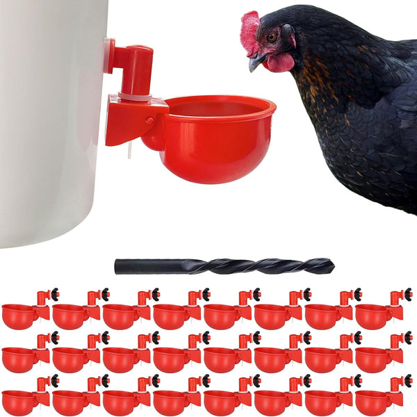 Chicken Waterer Cups | Automatic Large Chicken Water Feeder for Chicks, Quails,