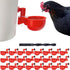 Chicken Waterer Cups | Automatic Large Chicken Water Feeder for Chicks, Quails,