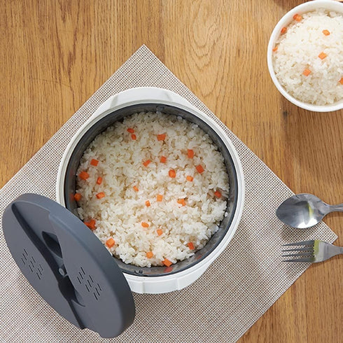 Microwave Rice Cooker 2L, Non-stick Food Grade PP Steamer with Strainer, Full Set with Lid & Spatula for Meal Noodle