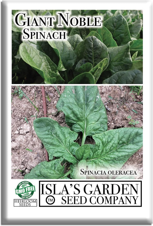 Giant Noble Spinach Seeds (Spinacia oleracea) 100+ Heirloom Non-GMO Seeds by Islas