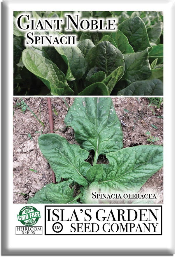 Giant Noble Spinach Seeds (Spinacia oleracea) 100+ Heirloom Non-GMO Seeds by Islas