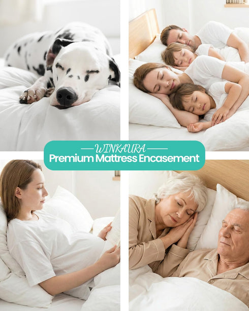 2 Pack, 9 Inch 6-Sided Premium Queen Waterproof Mattress Cover Zippered Mattress Protector, Deep, Mattress Encasement