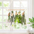 PROTITOUS 2pack 25PCS 32ft Herb Drying Rack Flower Drying with Brown Gift Tags and Natural Jute Twine herb Dryer,Herb