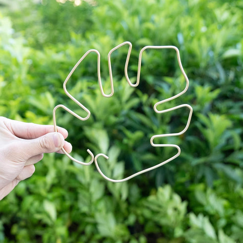 5PCS Set, Plant Stem Support - Durable Monstera Stabilizer Grapple Holder, Unique Design for Climbing Plants, Turtle