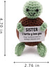 caiyjhao Lovely Hand-Woven Turtle | Mini Turtle Doll, Birthday Gift for Brothers and Sisters, Unique Handmade Gift