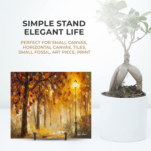 TR-LIFE 3 Pack 3 Inch Plate Stands for Display, Metal Frame Holder for Pictures, Decorative Plates, and Books