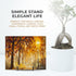 TR-LIFE 3 Pack 3 Inch Plate Stands for Display, Metal Frame Holder for Pictures, Decorative Plates, and Books