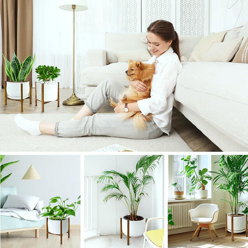 8 9 10 11 12 inch Airpark Adjustable Plant Stand Indoor, Metal Mid Century Modern Plants Stands, Stable Plant Holder