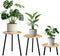 Frcctre 3 Pack Indoor Plant Stand, Wooden Mid Century Plant Stand Tall