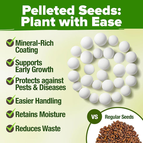 Pack 2,500+ HOME GROWN Organic Herb Seeds Variety - Non GMO, Heirloom High-Germinating Heirloom Seeds for Planting