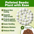 Pack 2,500+ HOME GROWN Organic Herb Seeds Variety - Non GMO, Heirloom High-Germinating Heirloom Seeds for Planting
