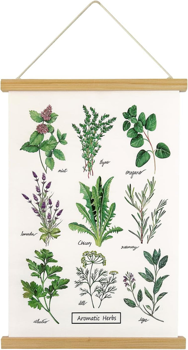 XIAOAIKA Aromatic Herbs Poster Wall Art Prints HD Vibrant Colorful Rustic Style