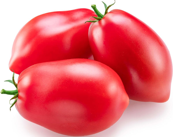 300+ Roma Tomato Seeds - Heirloom Non-GMO USA Grown Premium Seeds for