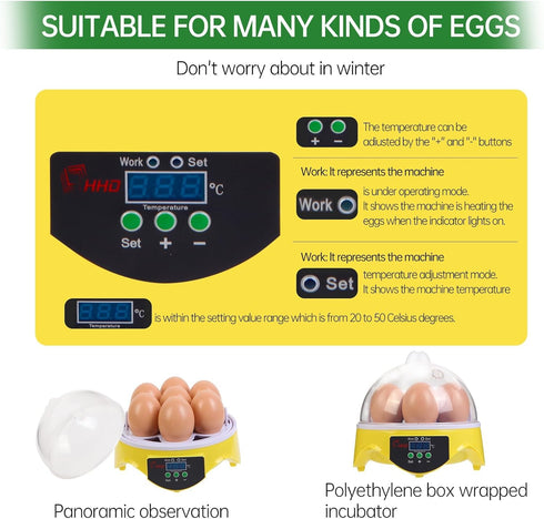 7-Egg 360 Mini Egg Incubator with View, Educational Hatching Kit for Kids, Classrooms & Families, Automatic Temperature